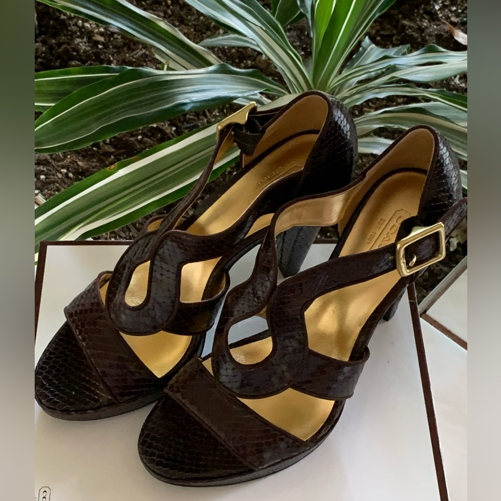 COACH IVANAH PYTHON/NUBUCK CHESTNUT BROWN SIZE 8M NEW IN BOX - Picture 6 of 16